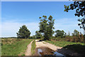 SU9763 : Sandy Track on Chobham Common by Des Blenkinsopp