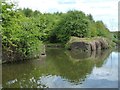 SO9588 : Entrance to Warren Hall Colliery basin, Dudley No 2 Canal by Christine Johnstone