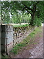 SJ5154 : Wall and gatepost by John H Darch