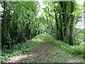 ST9195 : Site of Trouble House Halt on the disused Tetbury branch line by Vieve Forward