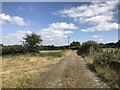 SJ8151 : Farm track near Diglake by Jonathan Hutchins