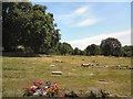 SE1317 : Rose Hill Burial Ground by Gerald England