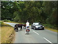 TQ4628 : Cattle on the road, Ashdown Forest by Malc McDonald