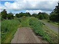 NS3976 : Track to Mains of Cardross Farm by Lairich Rig