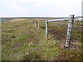 SE1202 : The county boundary fence on Withens Edge, Tintwistle by Humphrey Bolton