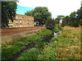 SP7460 : River Nene in Northampton by Malc McDonald