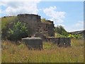 NT3457 : Old limekiln, Esperston by Jim Barton