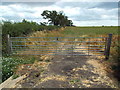 SP8070 : Gate and field near Hannington, Northampton by Malc McDonald