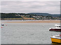 SX9880 : River Exe, Great Bull Hill Sandbank by David Dixon