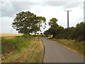 SP7781 : Rural road near Harrington, Northamptonshire by Malc McDonald