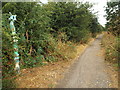 SP7485 : Millennium National Cycle Network sign near Market Harborough by Malc McDonald