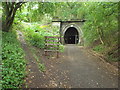 SP7479 : Brampton Valley Way approaching Kelmarsh Tunnel by Malc McDonald