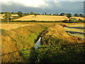 SP7367 : River Nene near Chapel Brampton by Malc McDonald