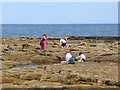 NZ3187 : The perennial fascination of tidal rock pools by Oliver Dixon