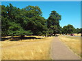 TQ1973 : Path in Richmond Park by Malc McDonald