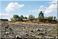 NZ0743 : Earthwork in Saltersgate Plantation by Trevor Littlewood