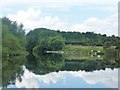 SE3867 : Moorings, River Ure, Langthorpe by Christine Johnstone