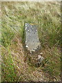 SD7363 : Recumbent boundary stone near Dovenanter, Keasden by Humphrey Bolton