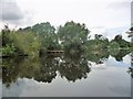 SE3866 : Landing stages, south bank, River Ure by Christine Johnstone