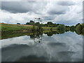 SE3666 : The south bank of the River Ure by Christine Johnstone