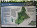 TQ0196 : Information Board at Carpenters Wood by David Hillas