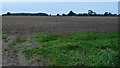 SE4070 : Bare field, south of Norton-le-Clay by Christine Johnstone