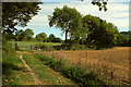 SX8074 : Footpath near Liverton by Derek Harper