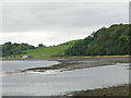 NT9953 : Flock of birds on a sandbank on the Tweed  by Stephen Craven