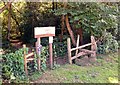 SU8034 : Entrance stile to Deadwater Valley LNR, Bordon, Hampshire - 170918 by John P Reeves