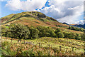 NY1717 : Towards High Snockrigg by Ian Capper