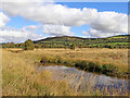 SN6862 : Cors Caron in October, Ceredigion by Roger  D Kidd