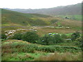 NY4316 : Sheep near Rampsgill Beck by Christine Johnstone