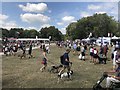 ST8899 : Spectators at Gatcombe Horse Trials by Jonathan Hutchins