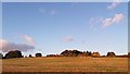 SE2526 : Farmland by Scotchman Lane, Morley, Leeds by I Love Colour