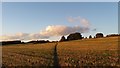 SE2526 : Footpath through the farm fields by I Love Colour