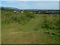 NS7994 : Mote Hill: western side of the ancient fort by Lairich Rig