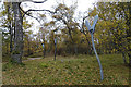 NH9014 : Woodland Art Installation by Anne Burgess