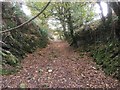 SS7047 : Lynton and Barnstaple Railway - Disused Railway Cutting by Barrie Cann