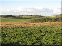  : Rough pasture, looking towards Tarbrax by M J Richardson