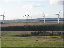  : Muirhall Wind Farm by M J Richardson