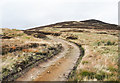 NO2069 : Hill road climbing towards Craig Lair by Trevor Littlewood