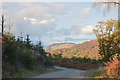 NN5305 : Autumn colours near Brig o' Turk by Jim Barton