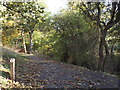 NZ3955 : Path marker in Backhouse Park, Sunderland by Malc McDonald