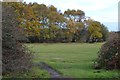 SU2001 : Forest lawn near Burbush car park by David Martin