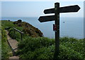 TA2469 : Fingerpost along the Headland Way by Mat Fascione