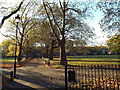 TQ3185 : Autumn sunlight on Highbury Fields by Malc McDonald