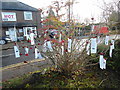 SP8700 : Tree with Remembrance labels, Prestwood (2) by David Hillas