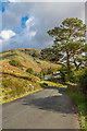 NY1717 : Into Buttermere by Ian Capper