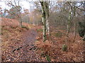 SJ2485 : Footpath on Thurstaston Hill and boundary stone #4 by John S Turner