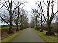 NS8141 : Avenue at the Kerse, Lesmahagow by Alan O'Dowd